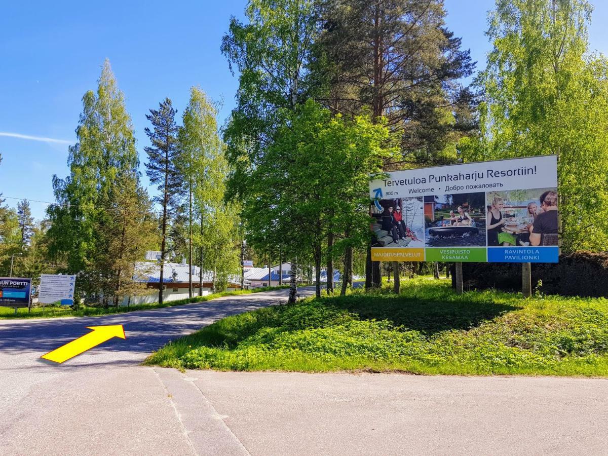 Pankkotupa Yrjo Villa Punkaharju Bagian luar foto