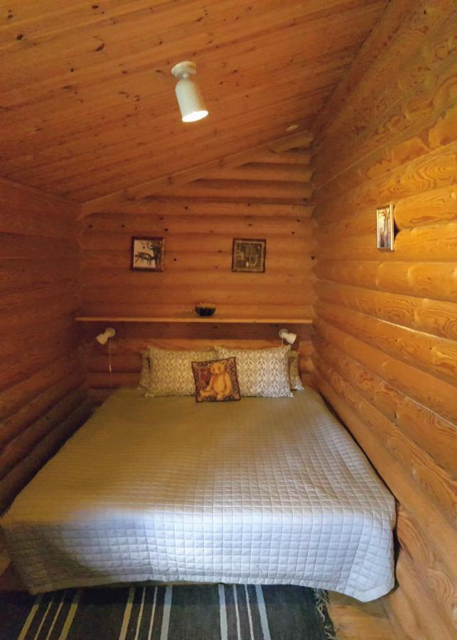 Pankkotupa Yrjo Villa Punkaharju Bagian luar foto